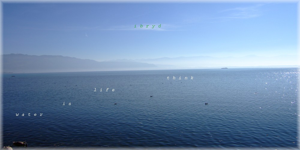grand LAC, surface rayonnante, ciel clair et brume transitive entre l'eau et les montagnes,  l'horizon . . .