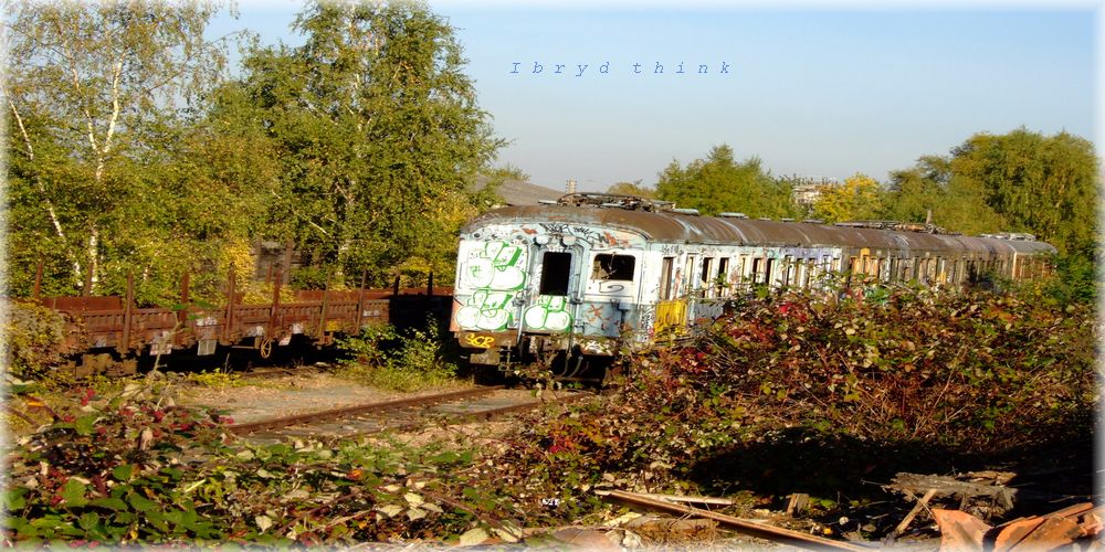 ancien train sur voie de garage